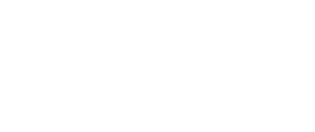 Saudi Council of Engineers