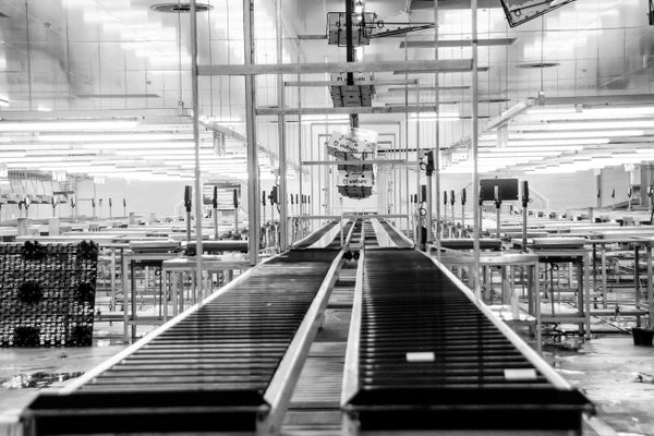 Industrial & Manufacturing