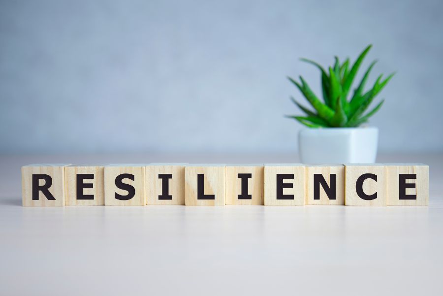 Organizational Resilience